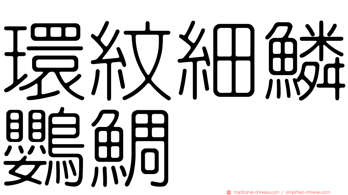 環紋細鱗鸚鯛
