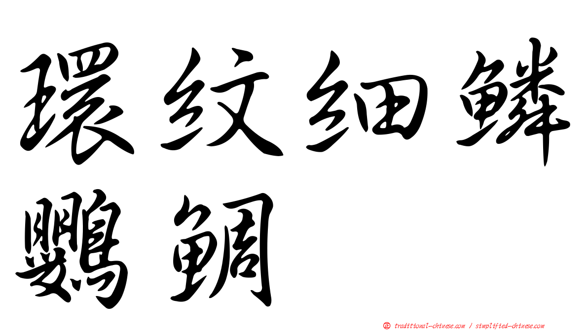 環紋細鱗鸚鯛