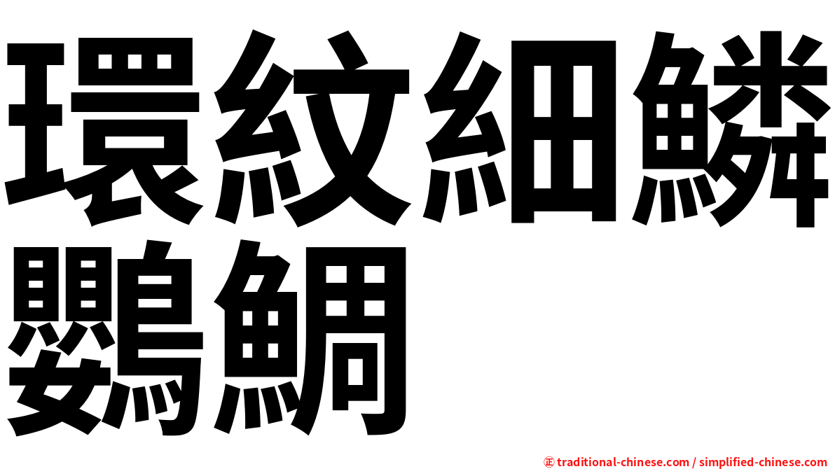 環紋細鱗鸚鯛