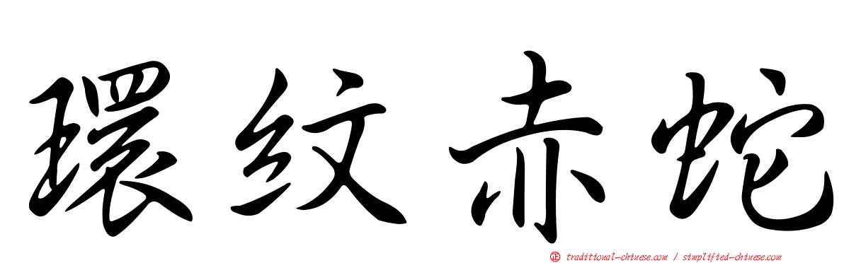 環紋赤蛇