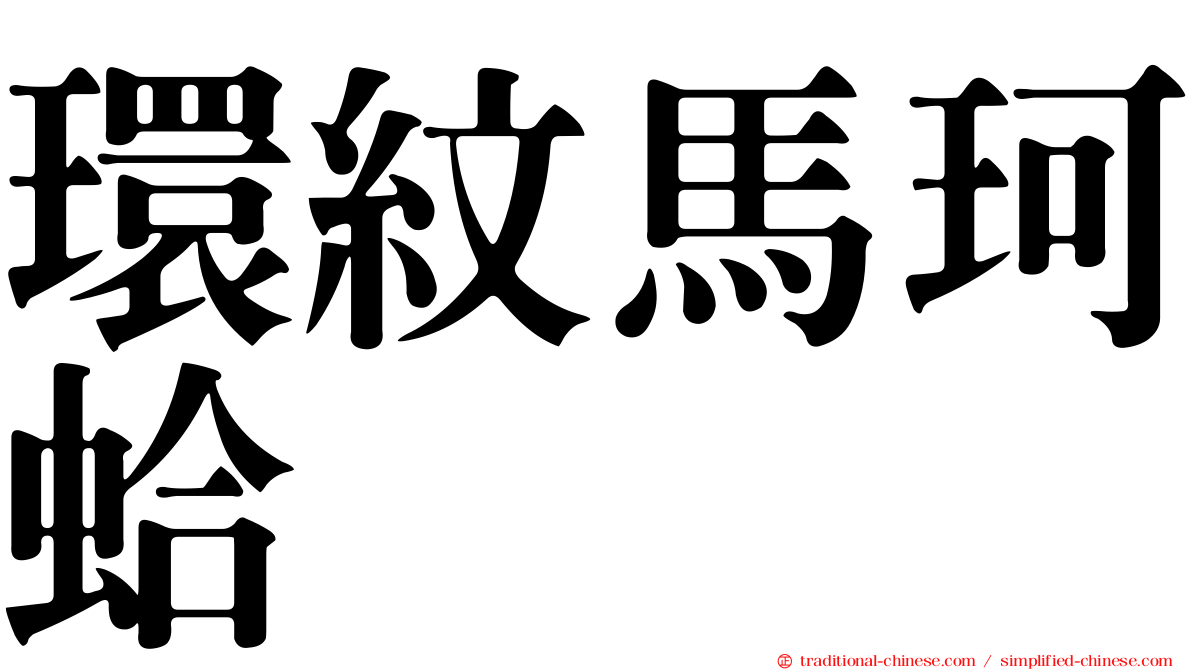環紋馬珂蛤