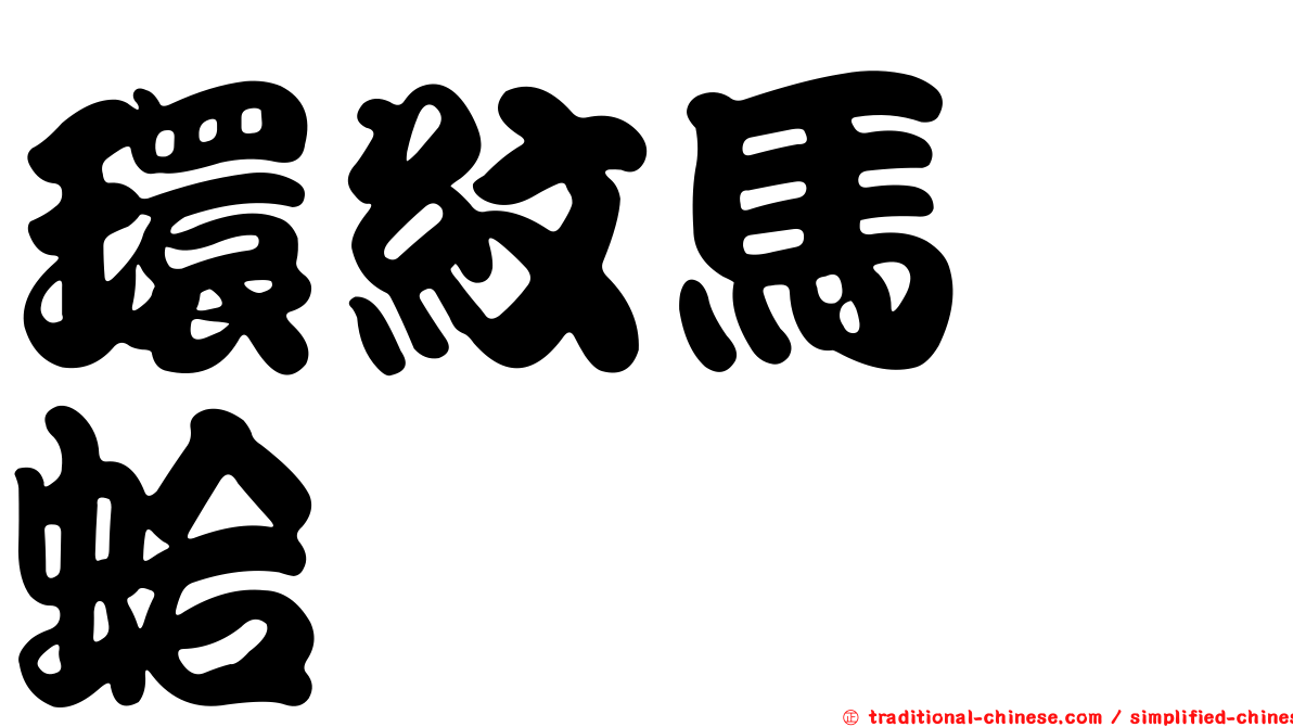 環紋馬珂蛤