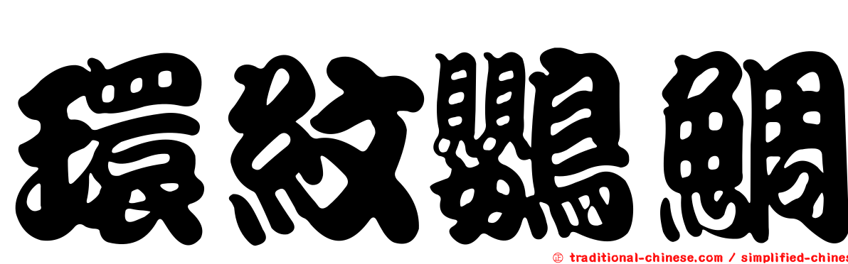 環紋鸚鯛