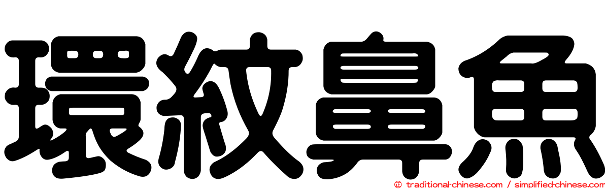 環紋鼻魚