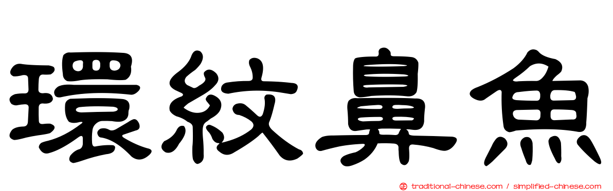 環紋鼻魚