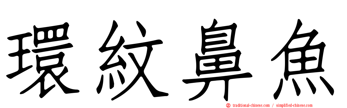 環紋鼻魚