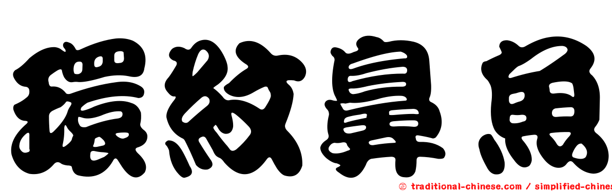 環紋鼻魚
