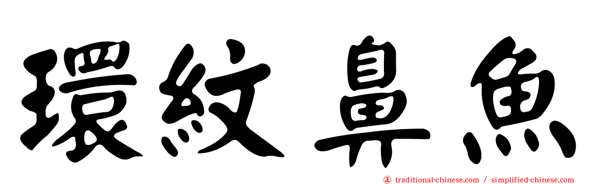 環紋鼻魚