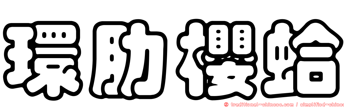 環肋櫻蛤