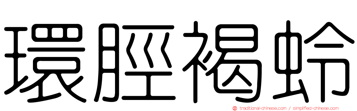 環脛褐蛉