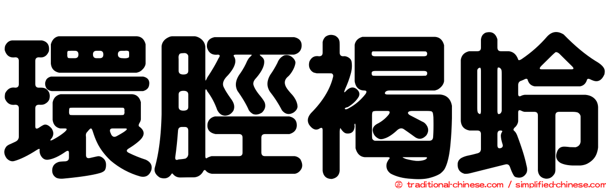 環脛褐蛉