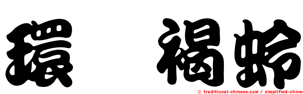環脛褐蛉