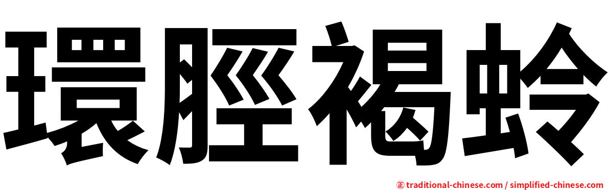 環脛褐蛉