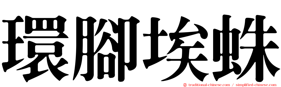 環腳埃蛛
