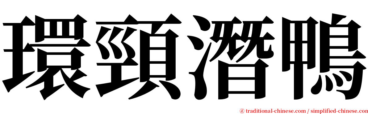 環頸潛鴨 serif font