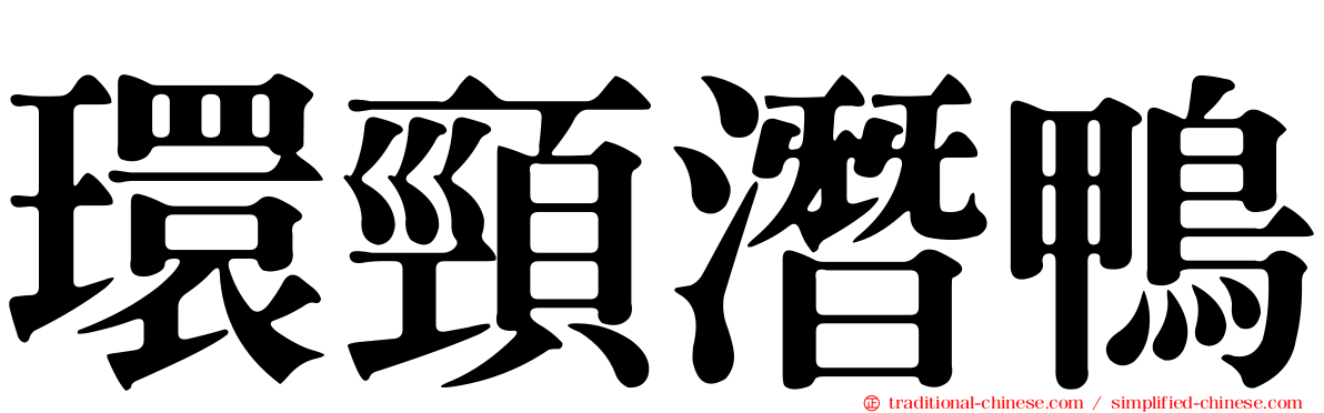環頸潛鴨