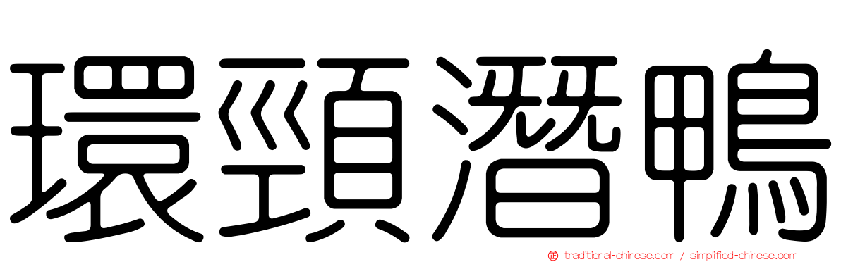 環頸潛鴨