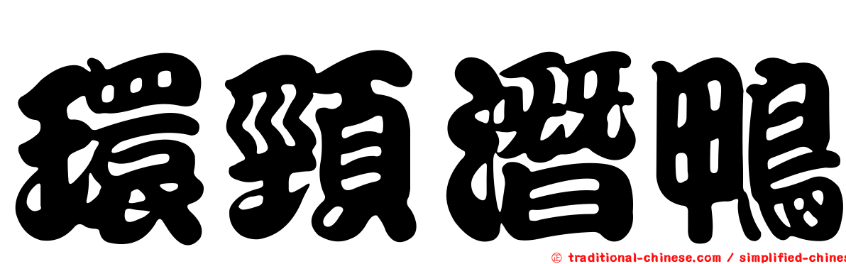環頸潛鴨
