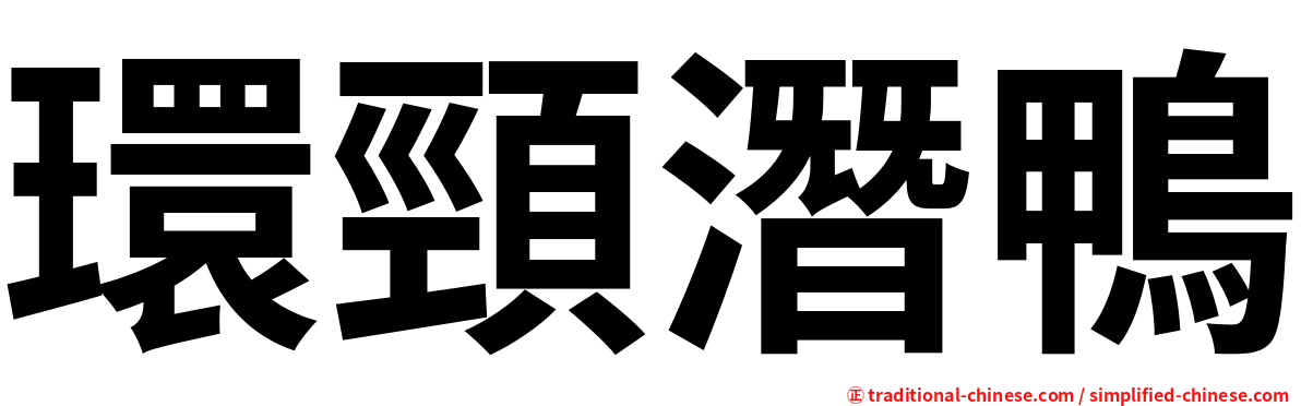 環頸潛鴨