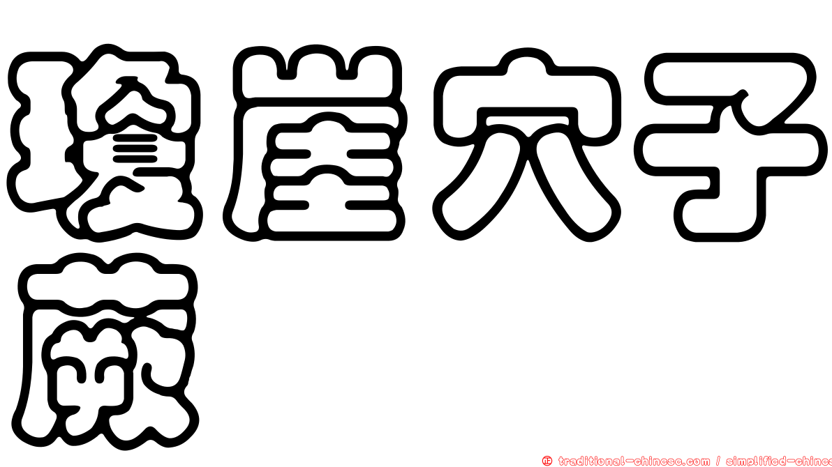 瓊崖穴子蕨