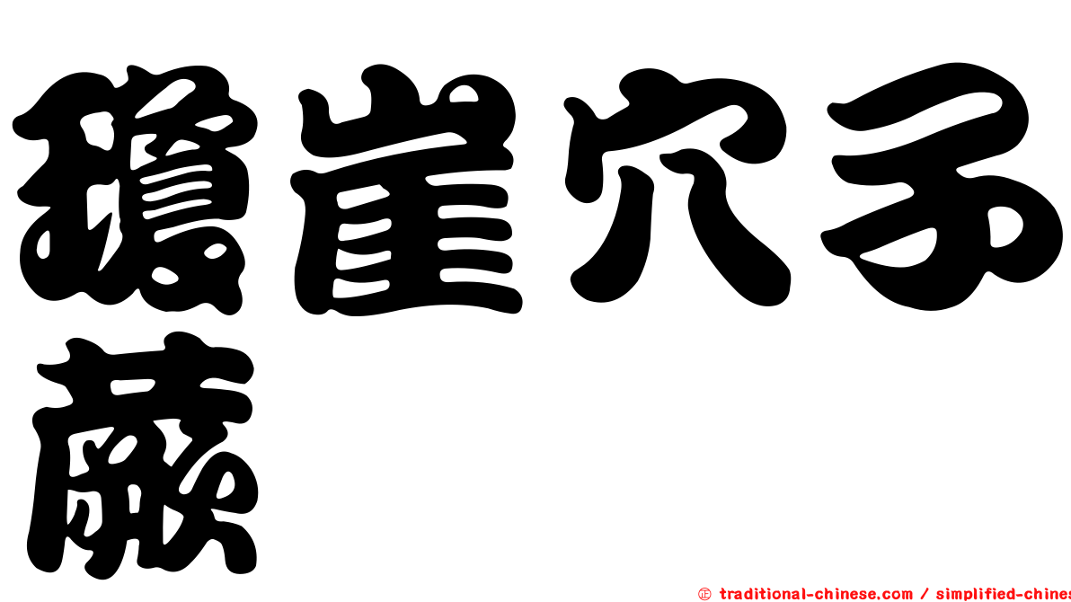 瓊崖穴子蕨