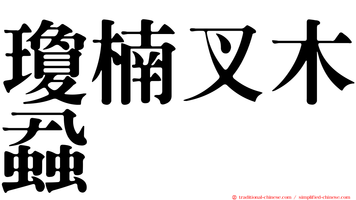 瓊楠叉木蝨