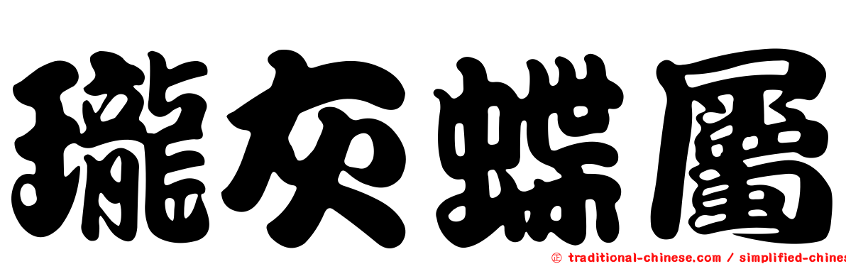 瓏灰蝶屬