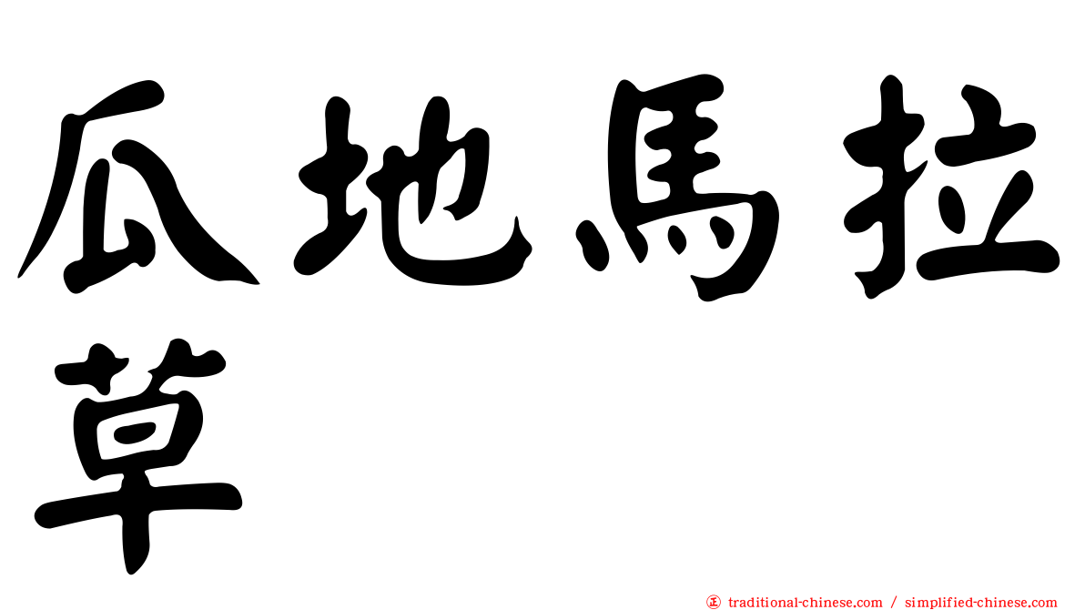 瓜地馬拉草