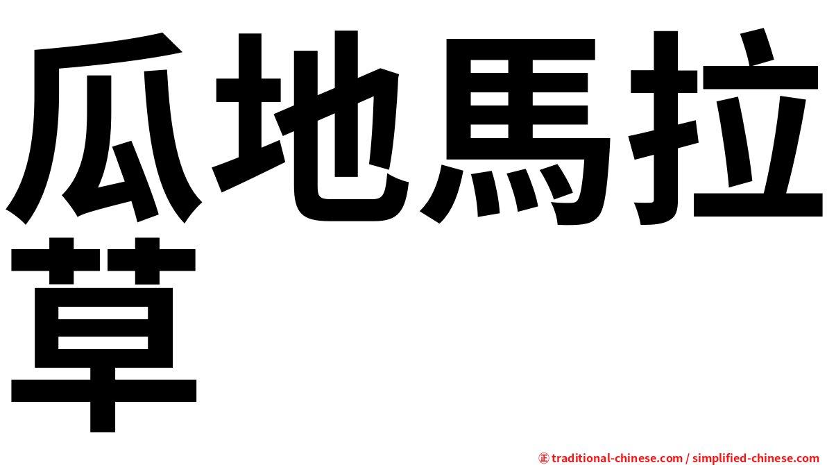 瓜地馬拉草
