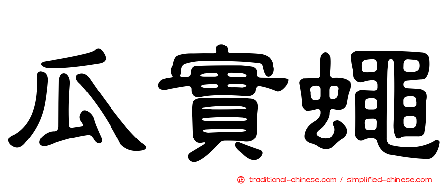 瓜實蠅