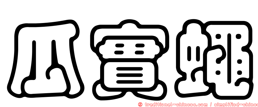 瓜實蠅