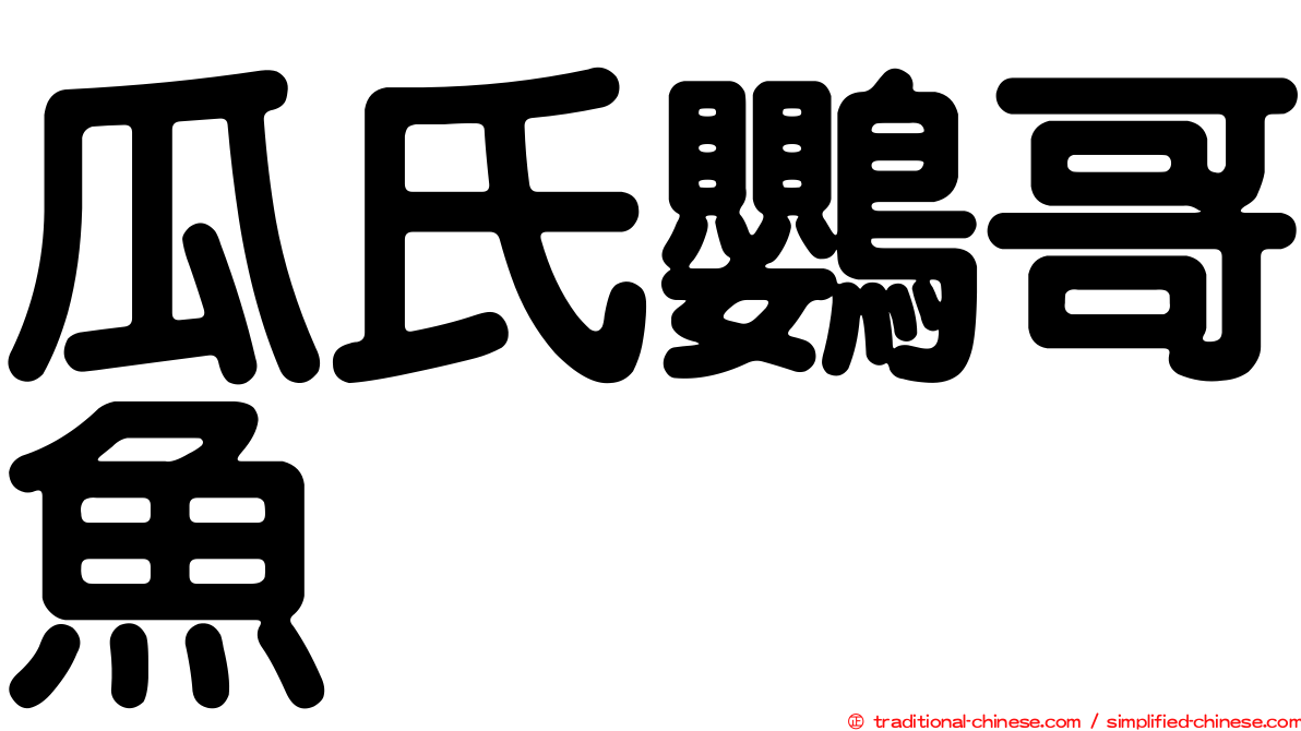 瓜氏鸚哥魚