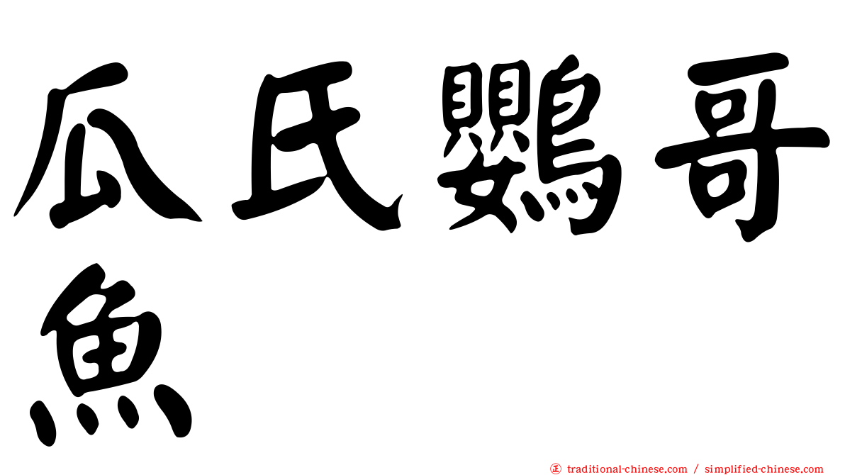 瓜氏鸚哥魚