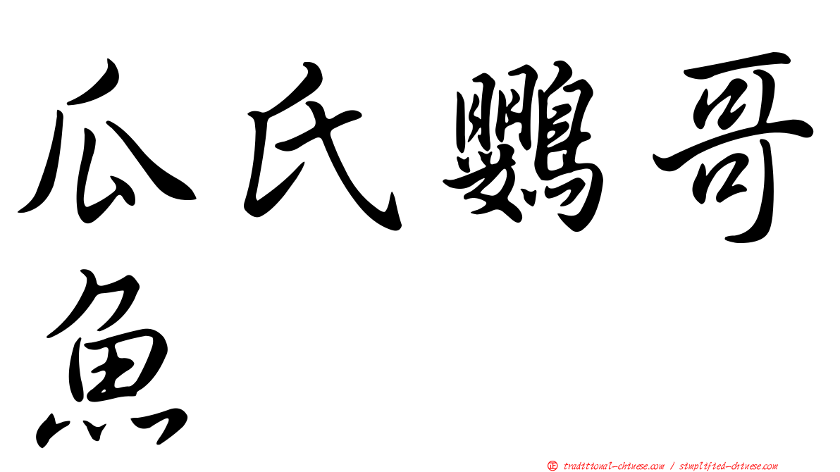 瓜氏鸚哥魚