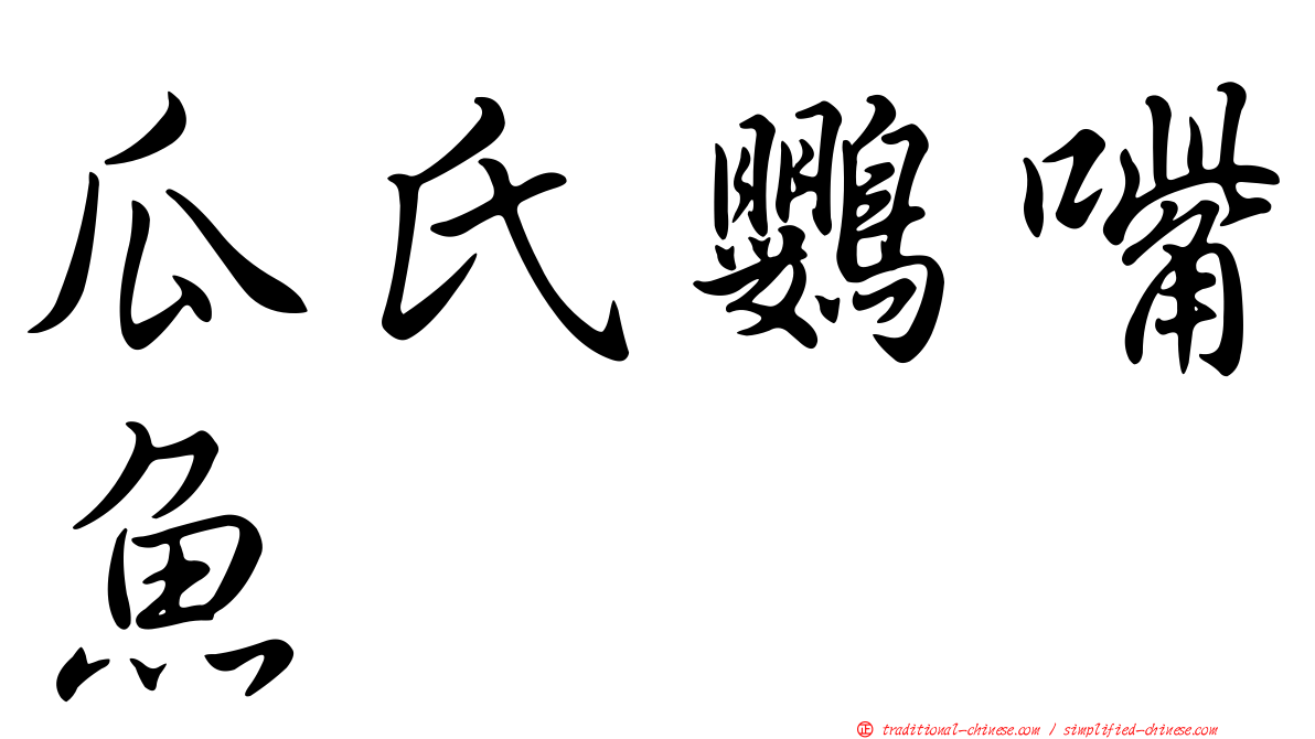 瓜氏鸚嘴魚