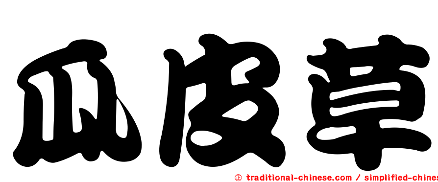 瓜皮草