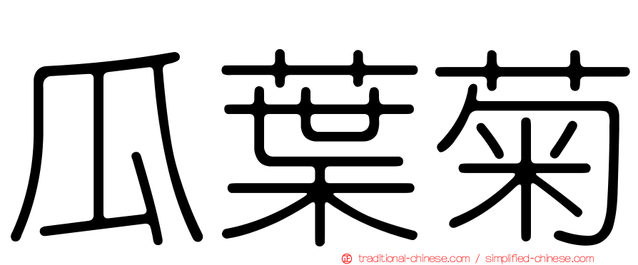 瓜葉菊