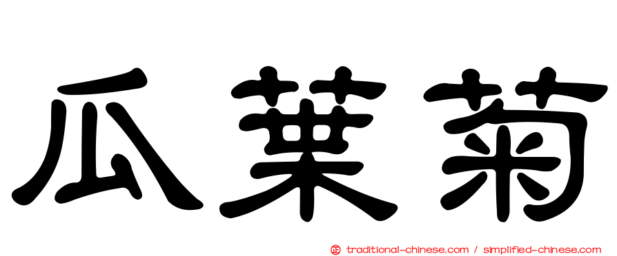 瓜葉菊