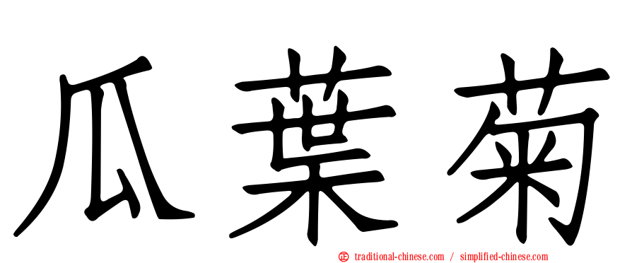 瓜葉菊