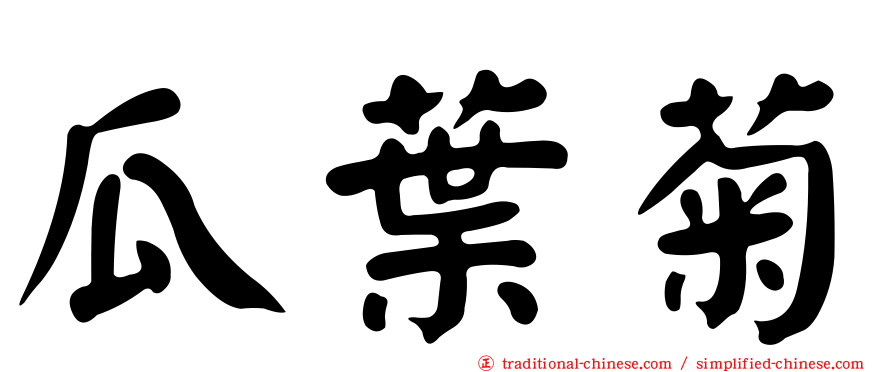 瓜葉菊