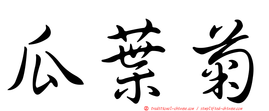 瓜葉菊