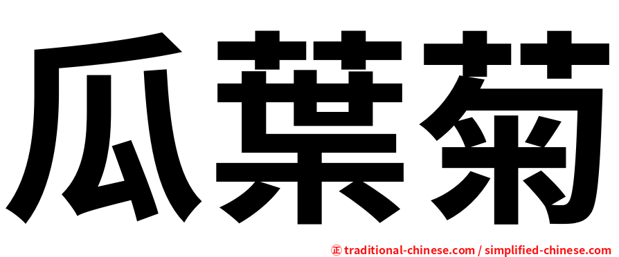 瓜葉菊