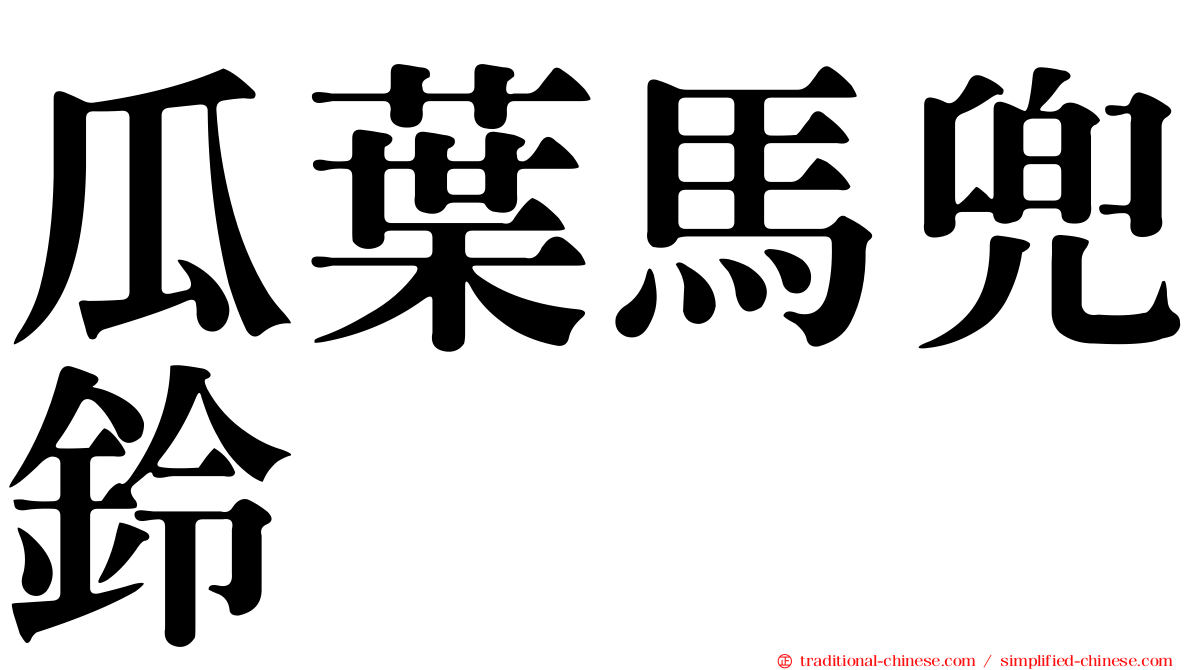 瓜葉馬兜鈴
