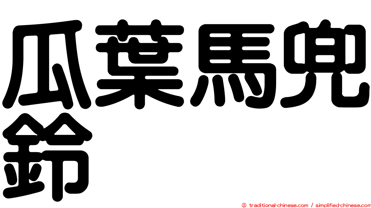 瓜葉馬兜鈴