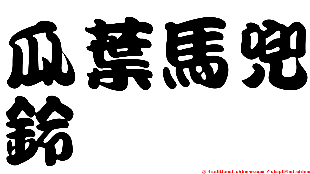 瓜葉馬兜鈴