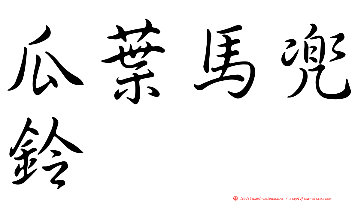瓜葉馬兜鈴