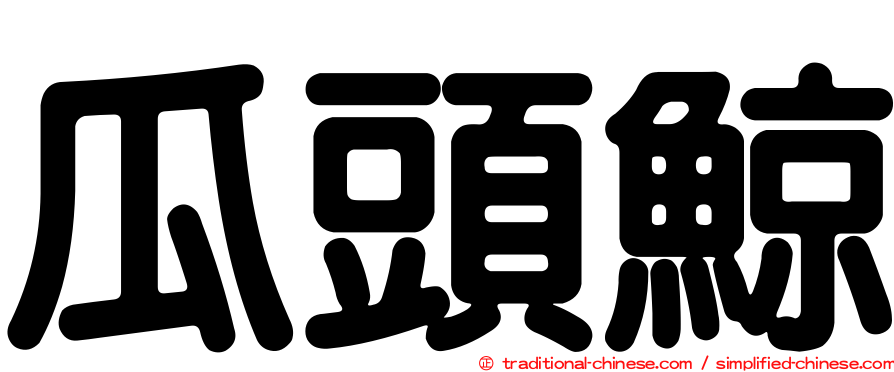 瓜頭鯨