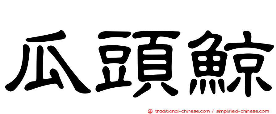 瓜頭鯨
