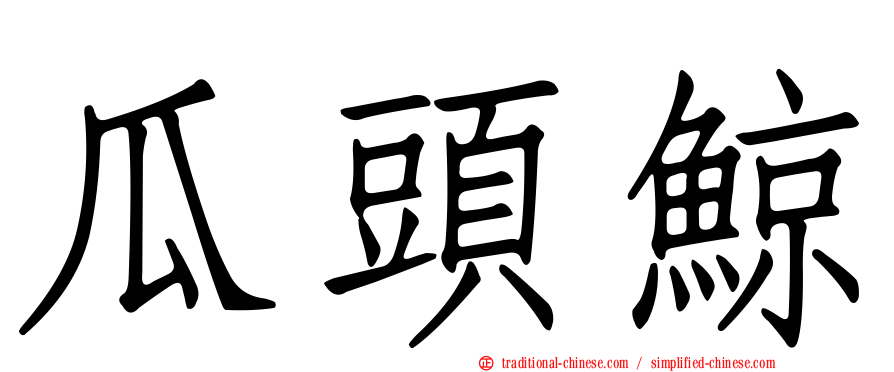 瓜頭鯨