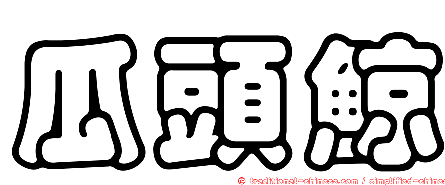 瓜頭鯨